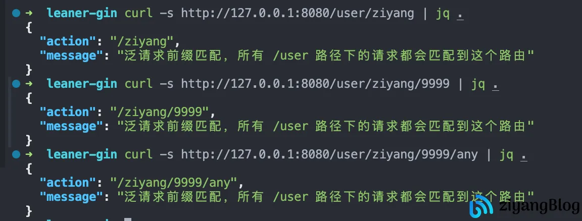 Gin - 泛请求前缀 Gin - 泛请求前缀
