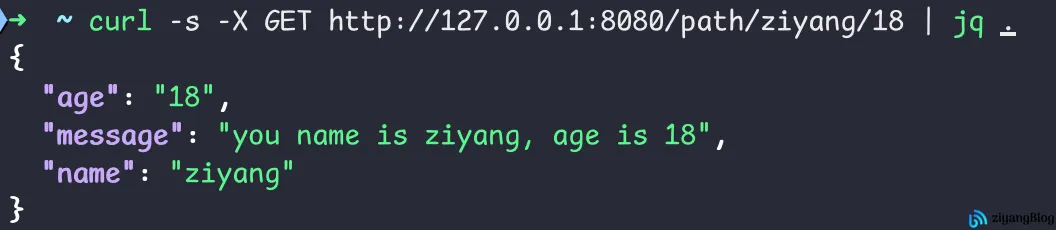 Gin - 获取 GET 请求参数 Gin - 获取 GET 请求参数