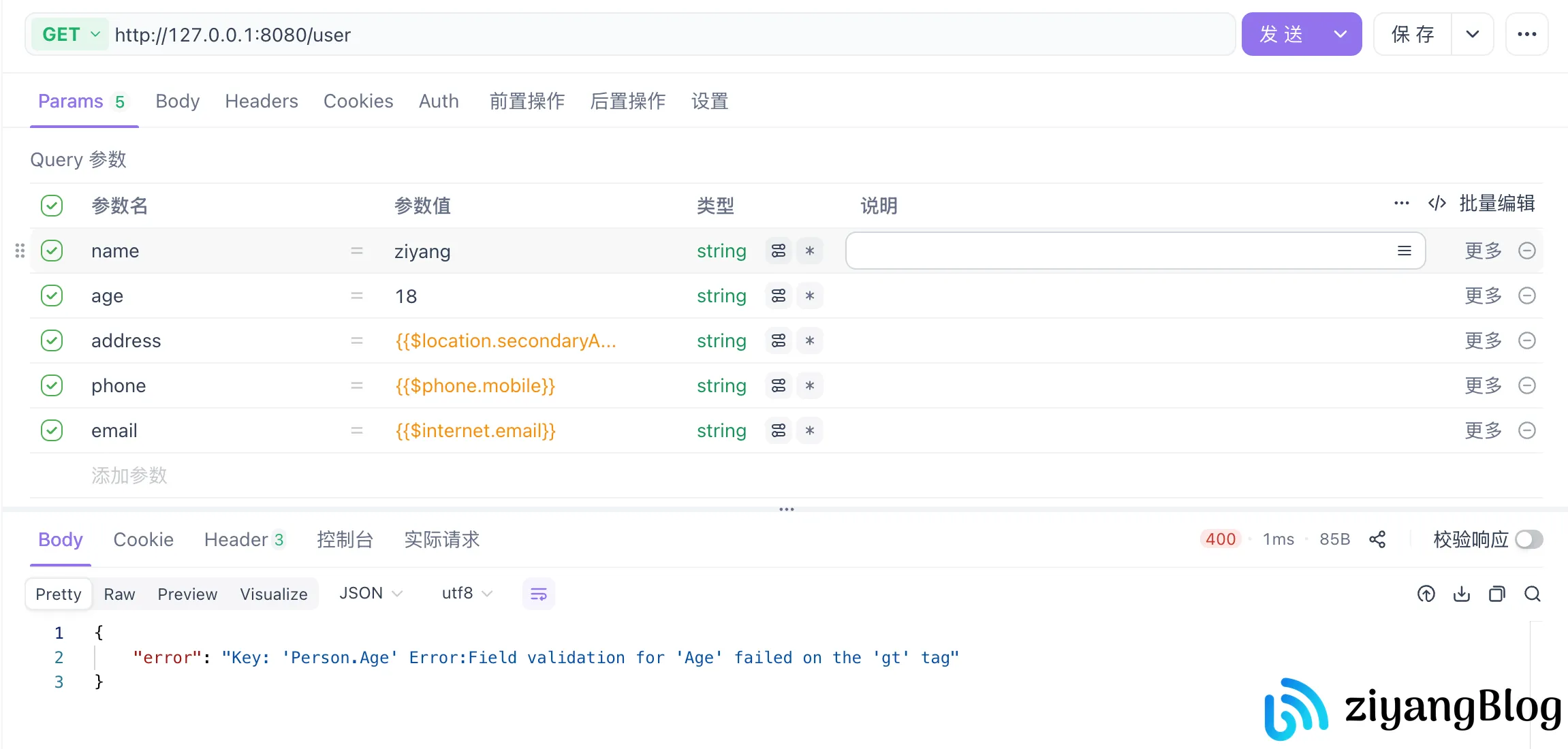 Gin - 验证请求参数