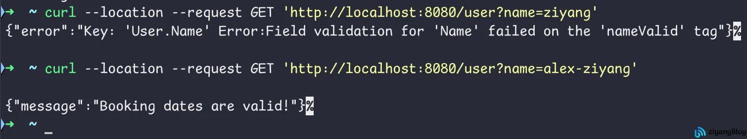 Gin - 自定义验证器