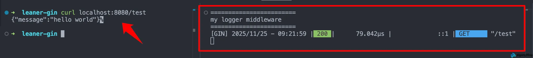Gin - 自定义中间件