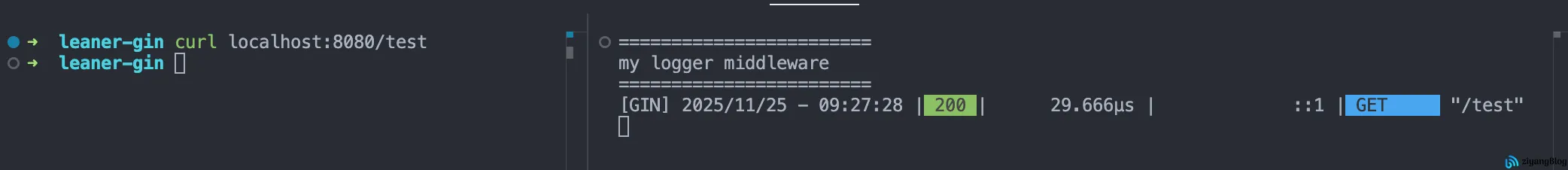 Gin - 自定义中间件