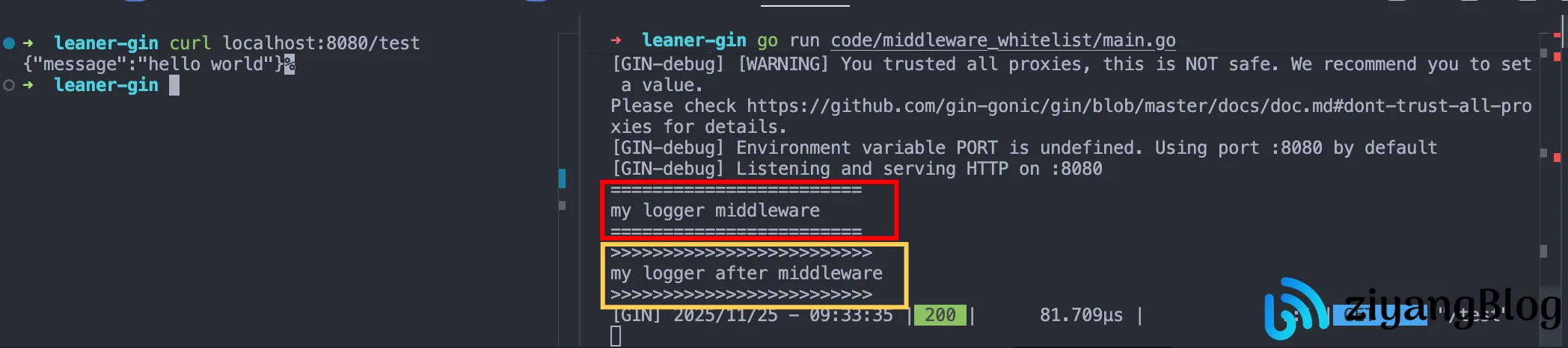 Gin - 自定义中间件