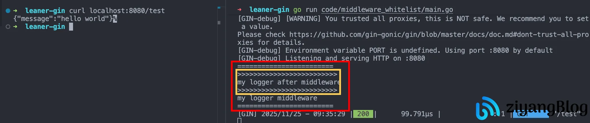 Gin - 自定义中间件