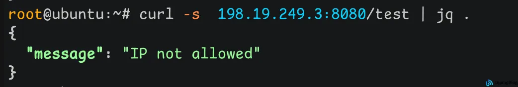 Gin - 自定义中间件