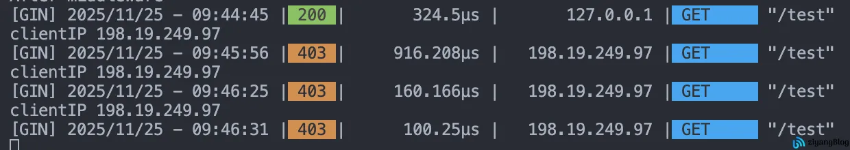 Gin - 自定义中间件