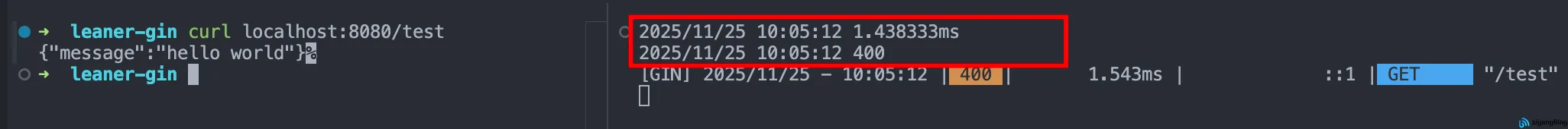 Gin - 自定义中间件
