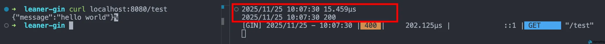 Gin - 自定义中间件