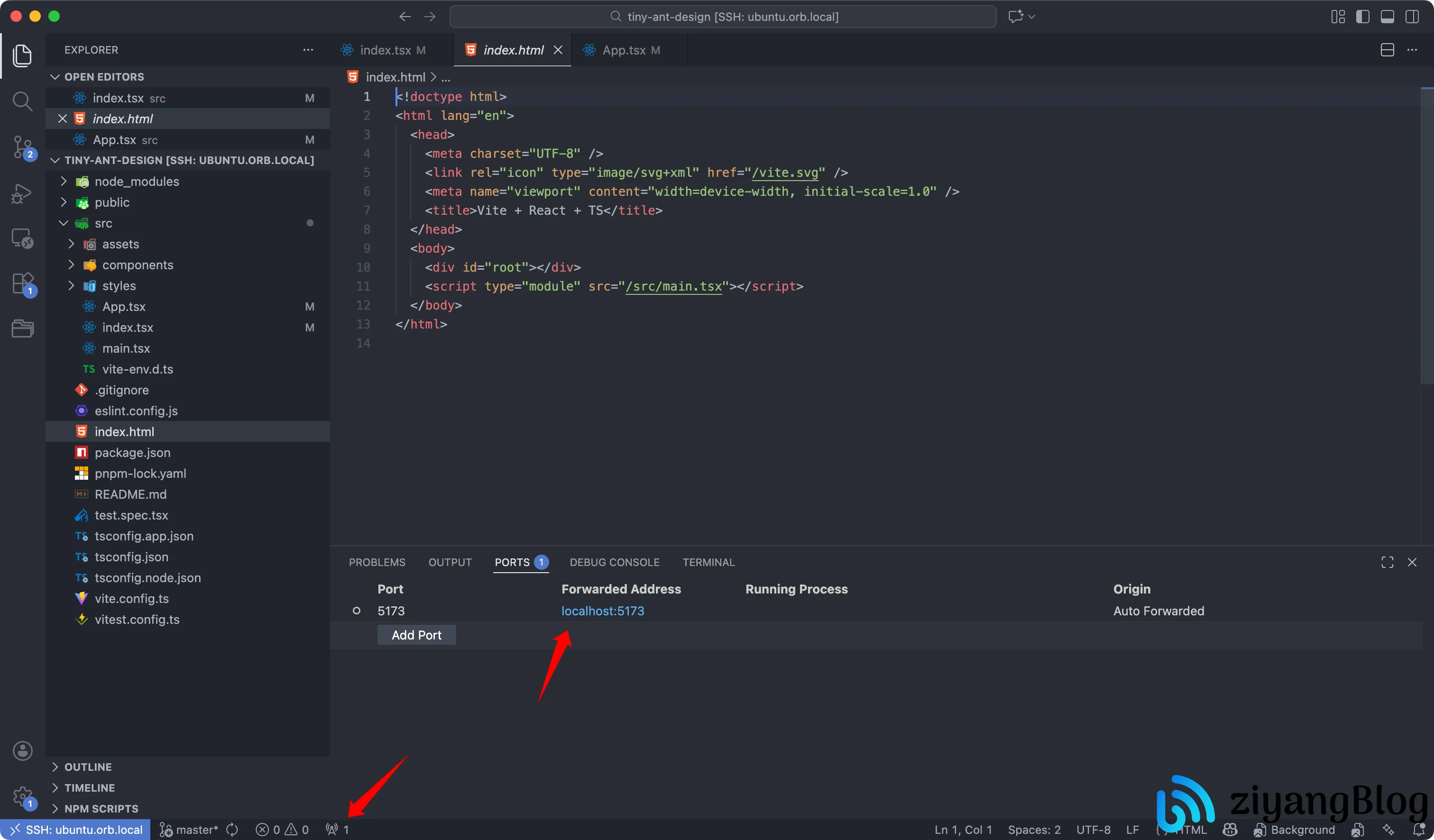 基于远程开发的大型前端项目实践
