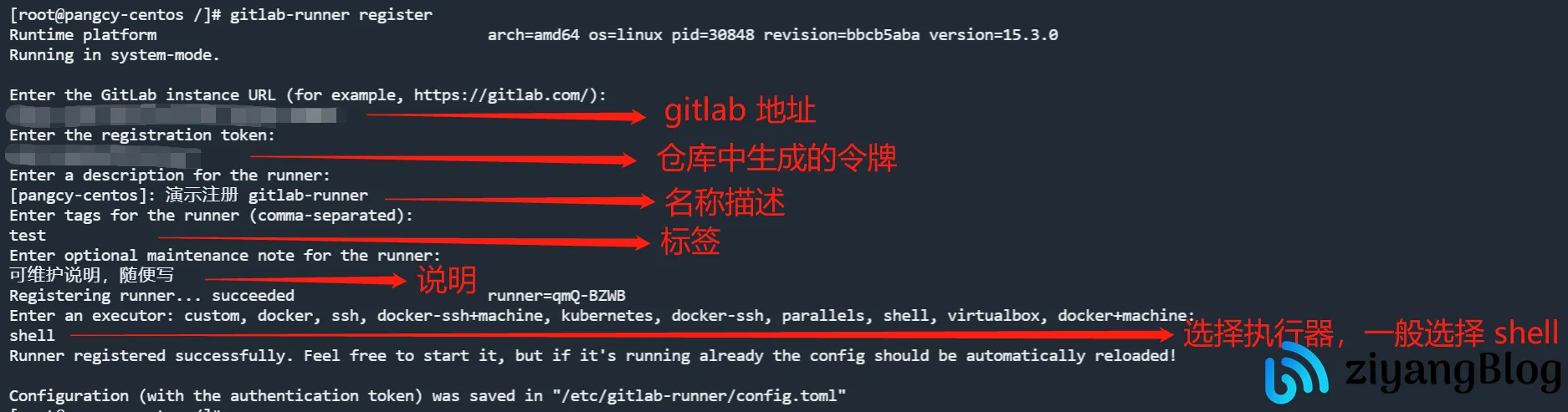 gitlab-runner 注册执行器